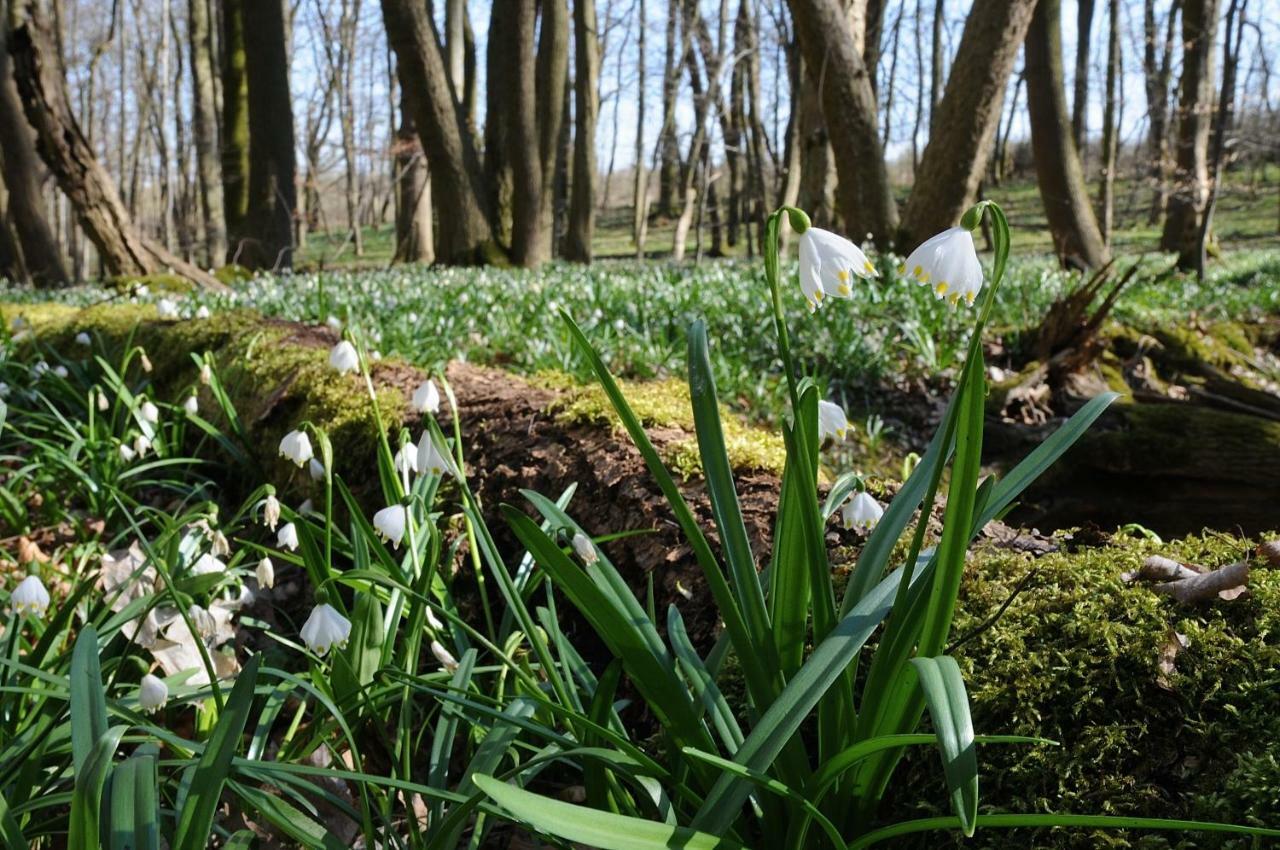 Landhotel Brauner Hirsch